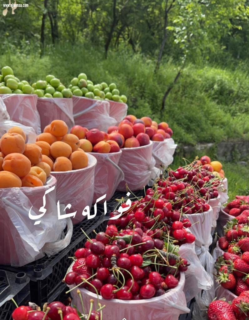 رحلتي إلى اذربيجان