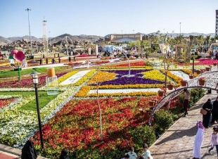 تغطية رحلة سياحية إلى عروس المصائف الطائف ( مدينة الورود)